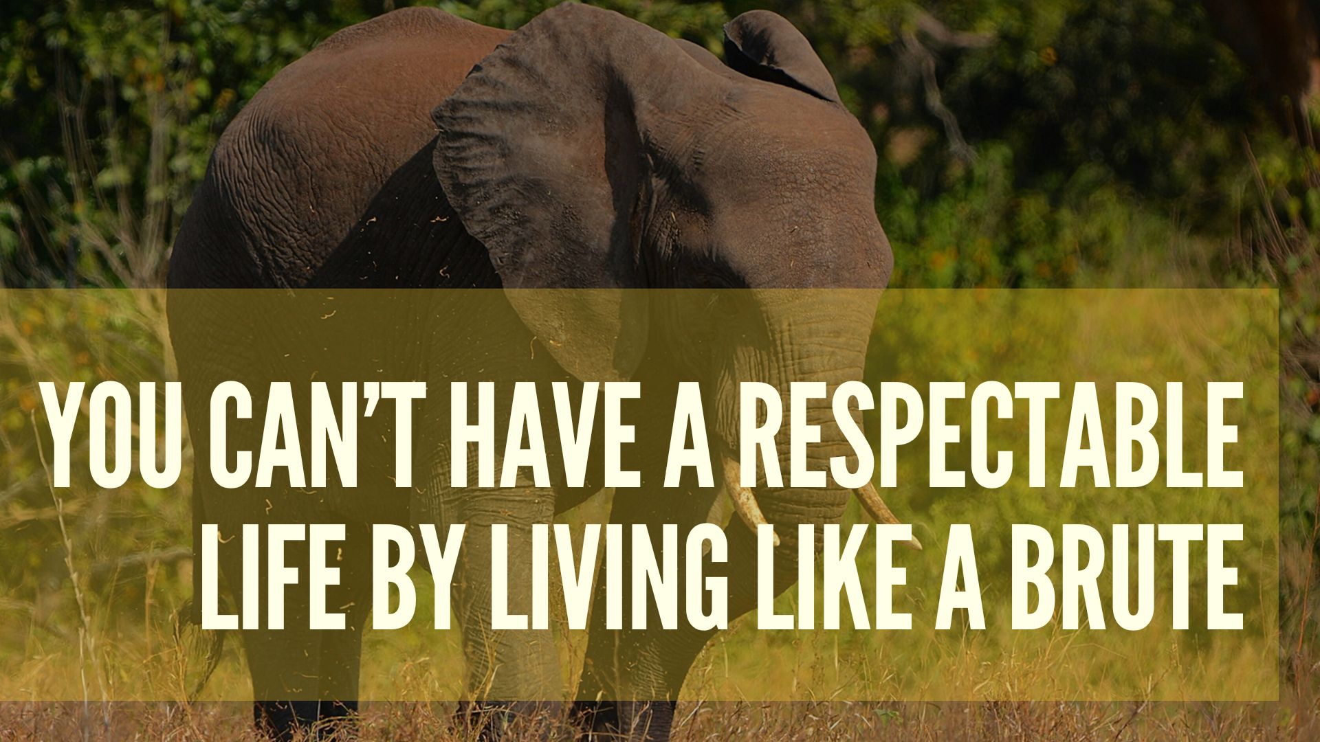 You Can’t Have a Respectable Life by Living Like a Brute.